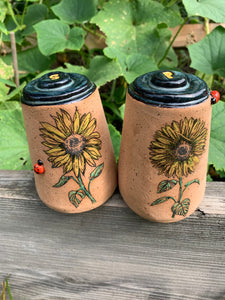 Sunflower/Ladybug Magic Salt and Pepper shakers