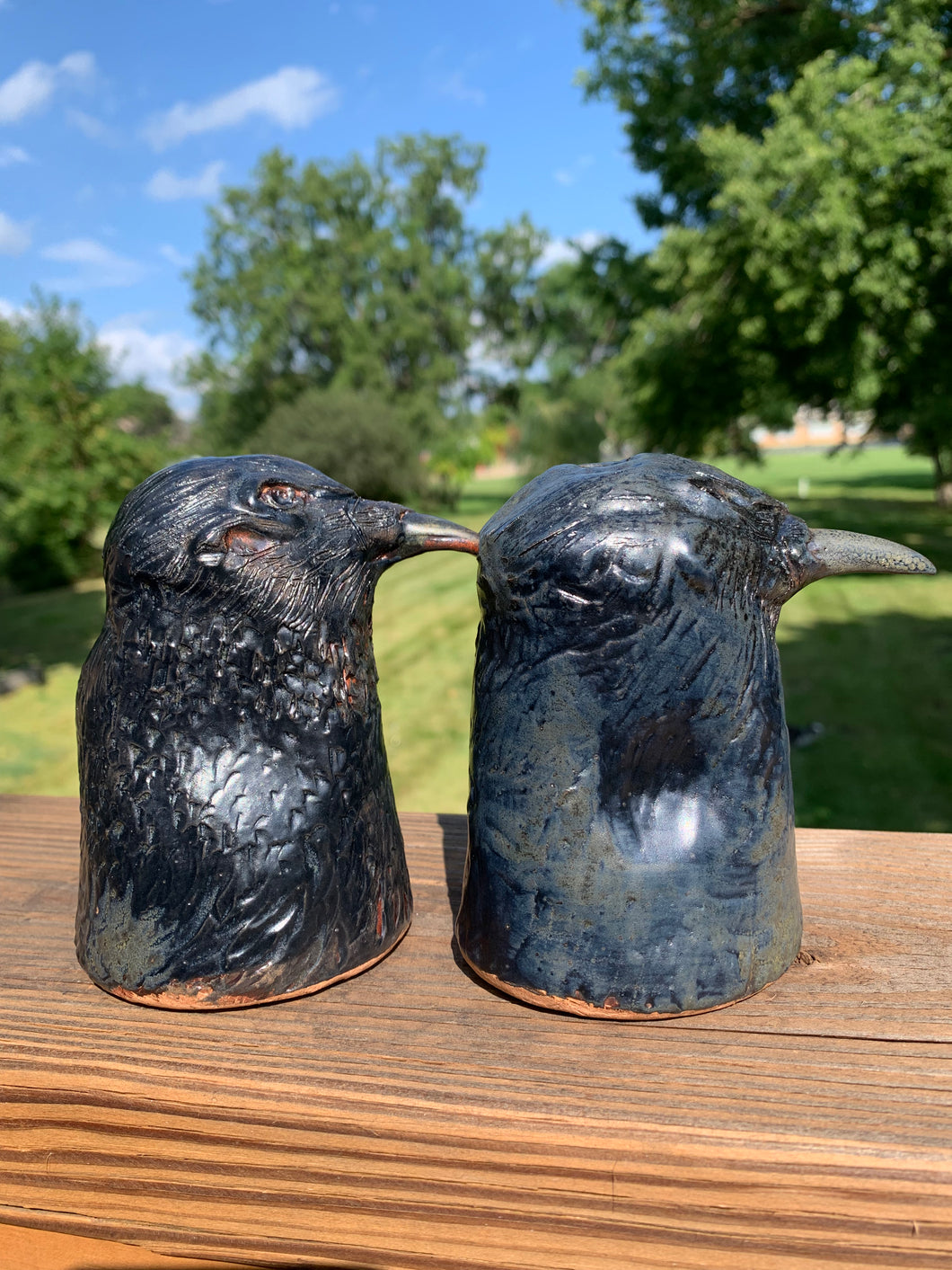 Raven Magic Salt and Pepper shakers