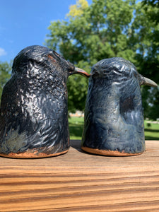 Raven Magic Salt and Pepper shakers