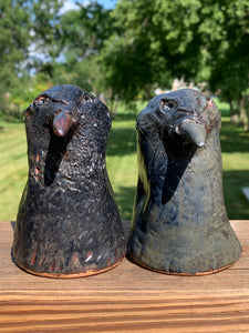 Raven Magic Salt and Pepper shakers