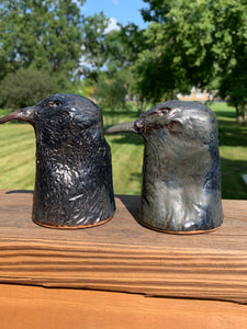 Raven Magic Salt and Pepper shakers